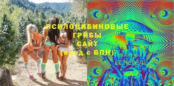 а пвп мука Новозыбков