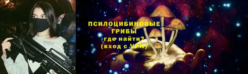 Галлюциногенные грибы GOLDEN TEACHER  Пудож 