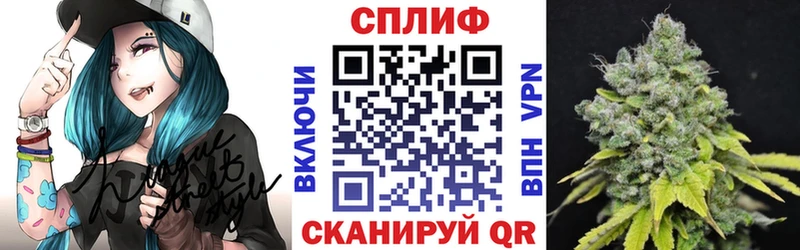 Марихуана план  darknet Telegram  Пудож 